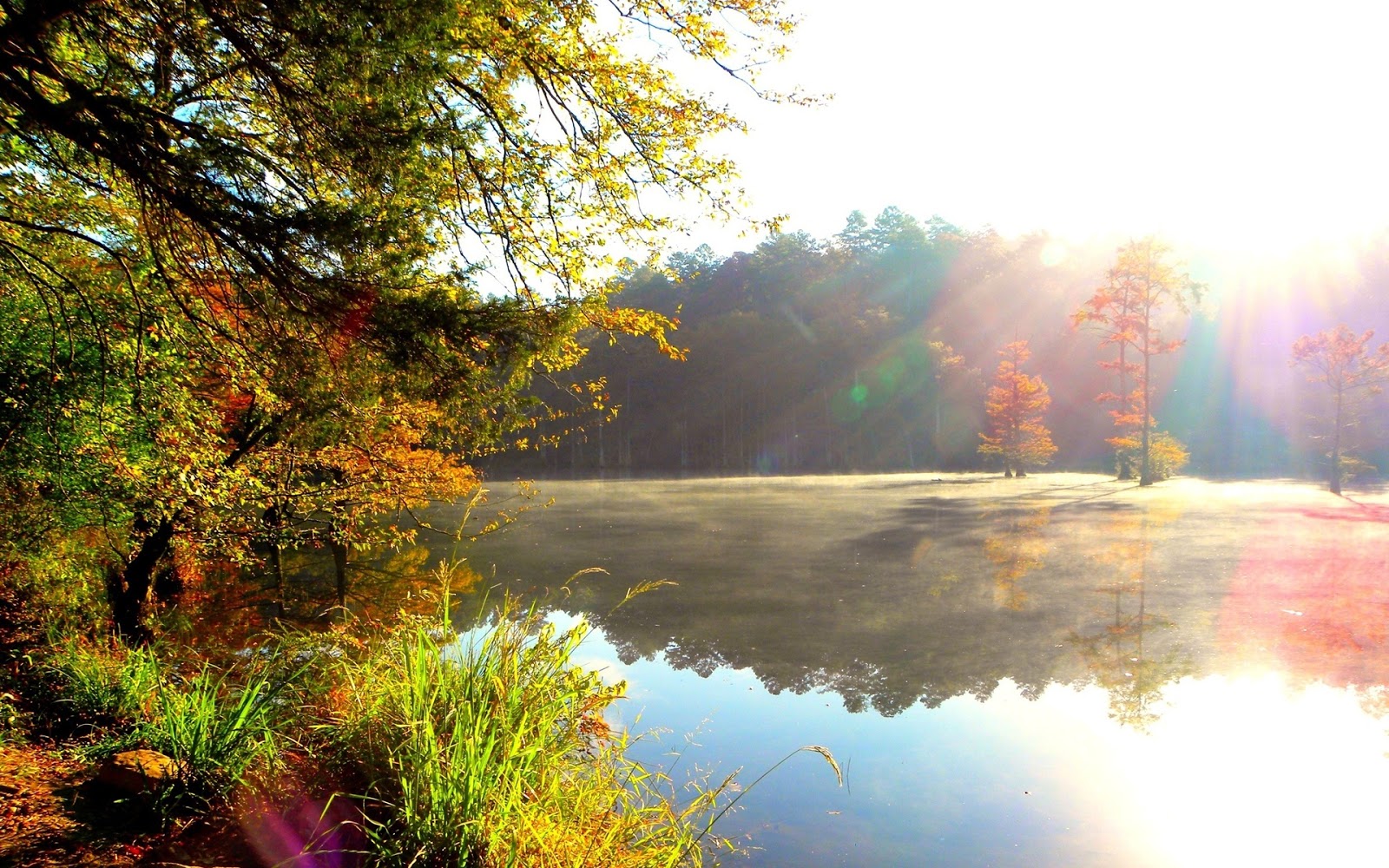 Natural Beauty HD Wallpapers 2013 | 2013 HD WALLPAPERSe